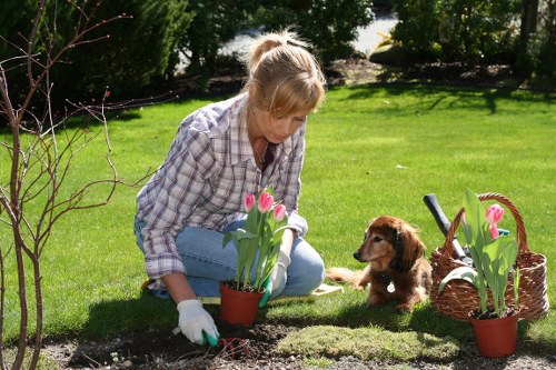 Healthy plants in a well-maintained garden bow
